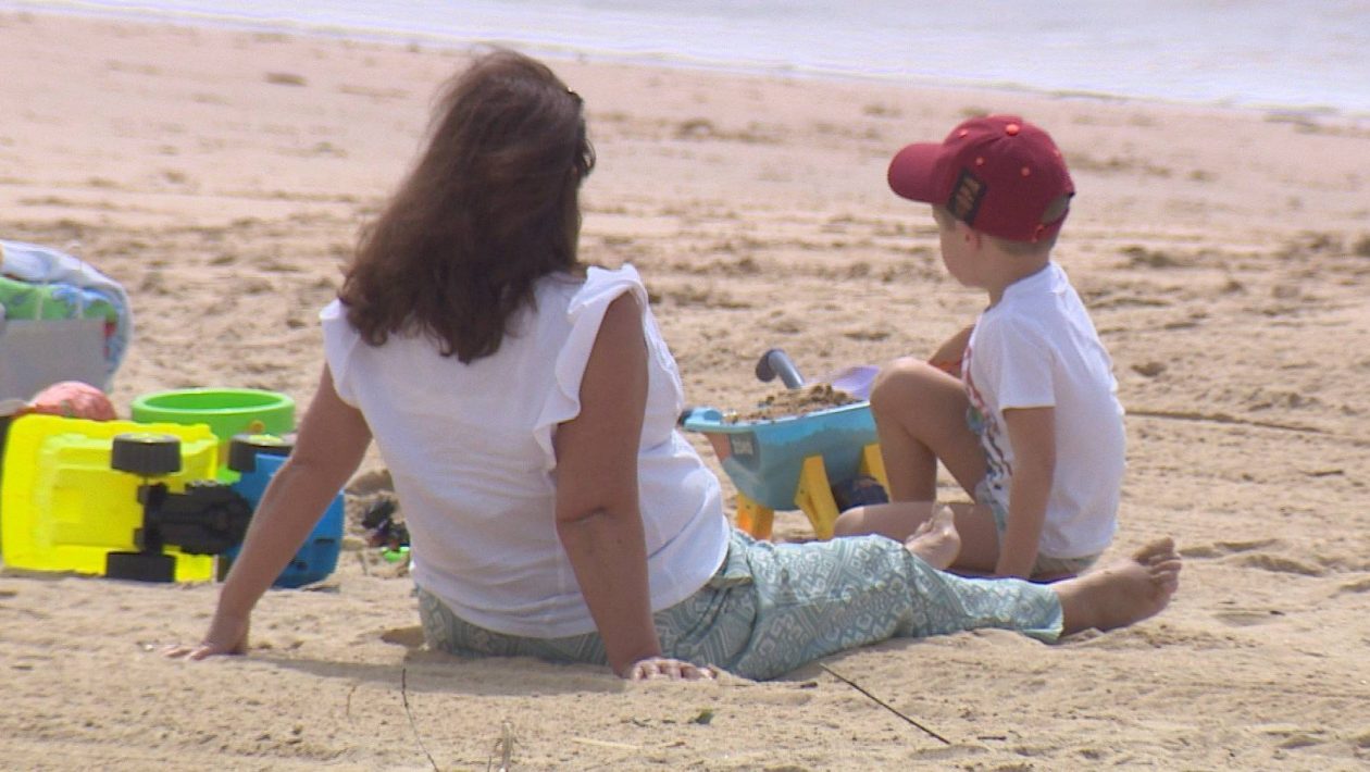 Mother's Day: families take the opportunity to go out, flowers are among their favorite gifts