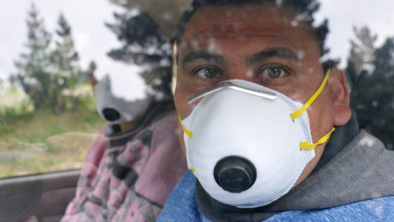 Deaths on an Atlantic cruise: what is hantavirus, how does it spread and what symptoms does it cause?