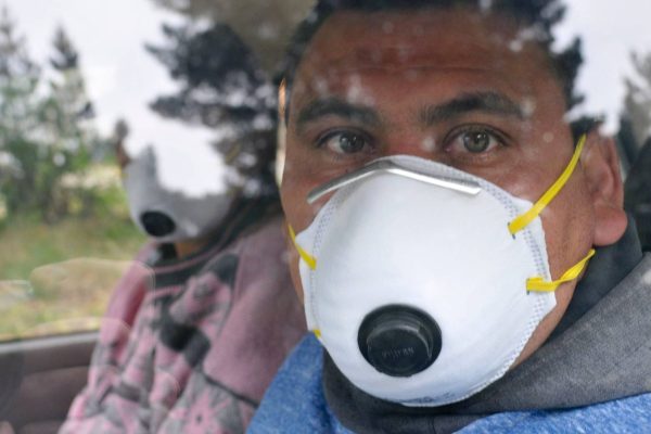 Deaths on an Atlantic cruise: what is hantavirus, how does it spread and what symptoms does it cause?