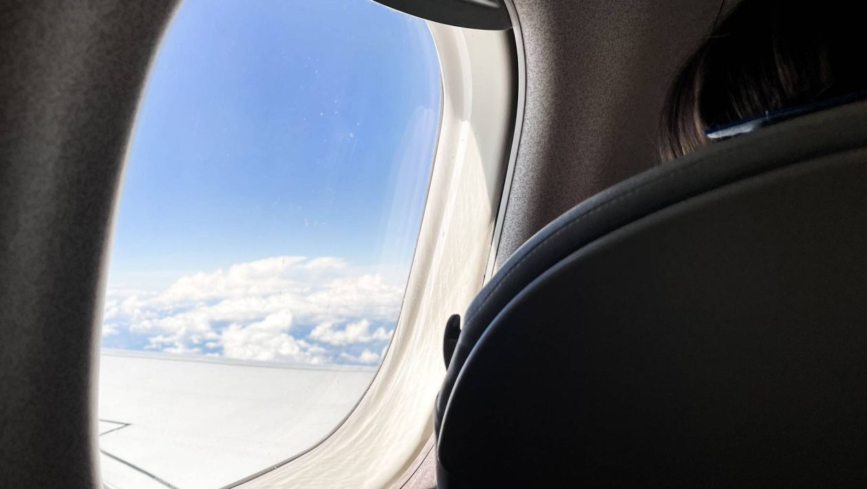 Contact case: identified French citizen who traveled on the same flight as a woman infected with hantavirus