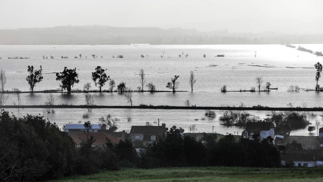 Three months later: plantations remain devastated and costs worsen the situation of farmers