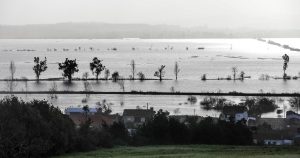 Three months later: plantations remain devastated and costs worsen the situation of farmers