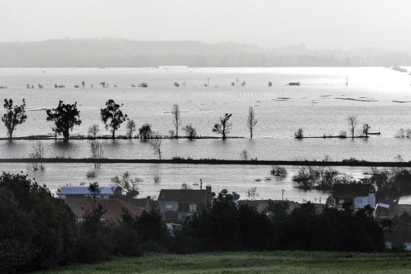 Three months later: plantations remain devastated and costs worsen the situation of farmers
