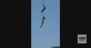 The moment the police hoist a crocodile with the remains of a Portuguese man in South Africa