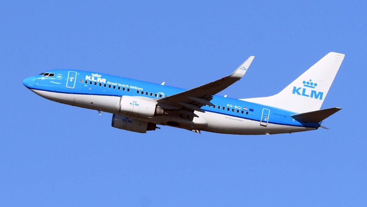 KLM flight attendant with suspected hantavirus infection tests negative