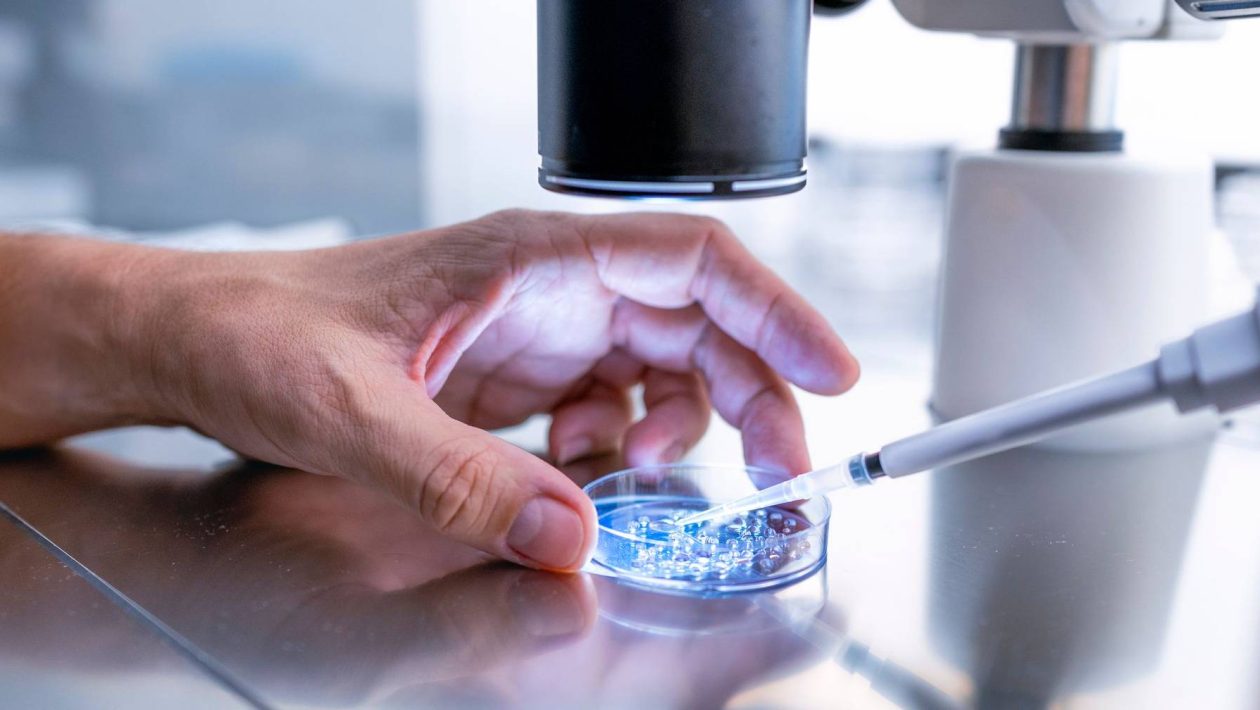 Man produces sperm through testicular tissue frozen in childhood