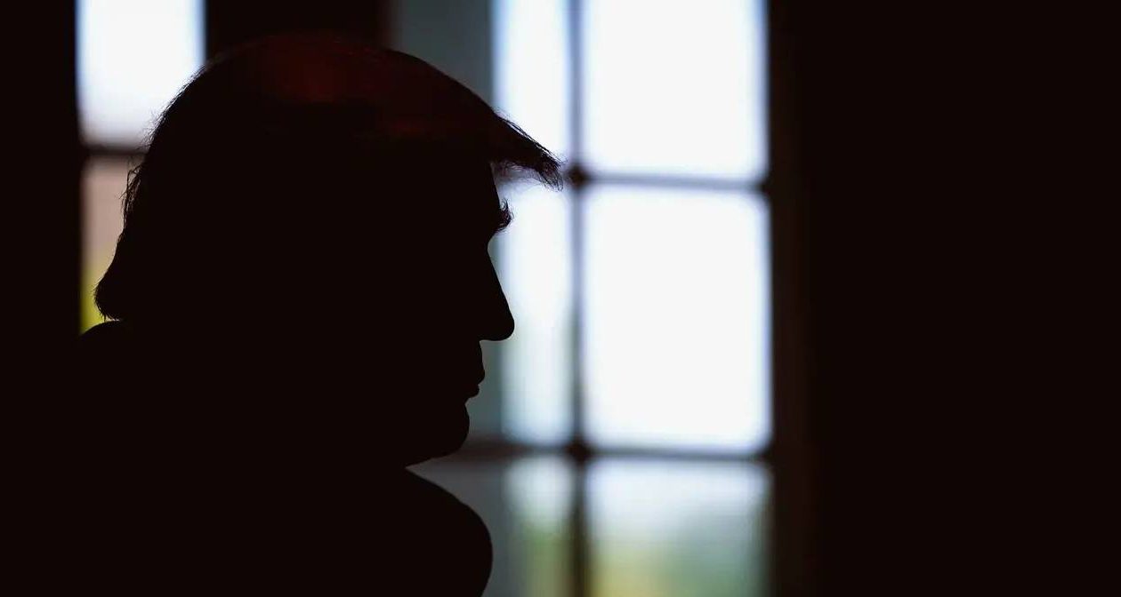Adolf Trump's autocratic America: Francisco Louçã's essay