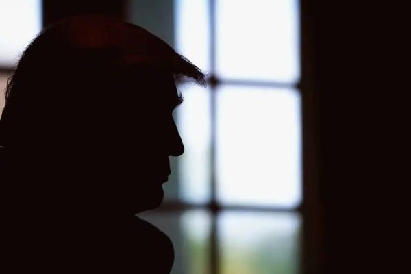 Adolf Trump's autocratic America: Francisco Louçã's essay