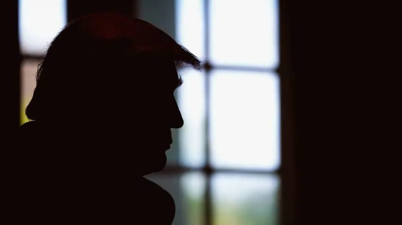 Adolf Trump's autocratic America: Francisco Louçã's essay