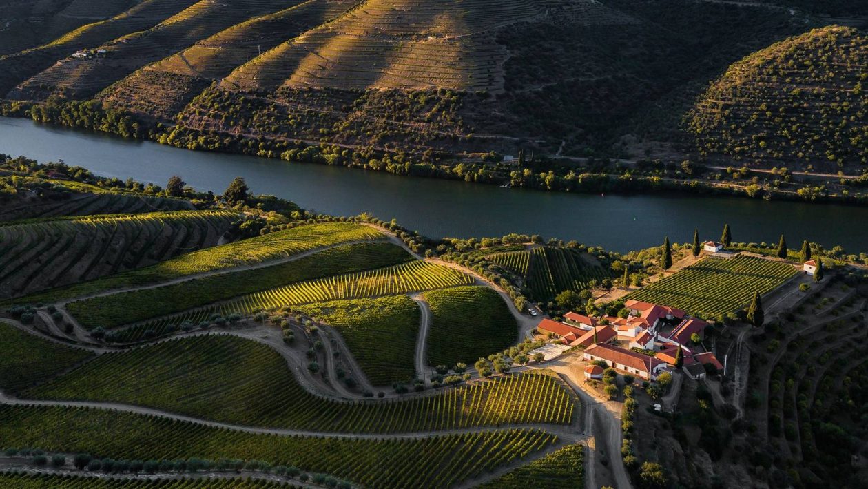 Wines of Portugal Competition: the big winners revealed, “Best of the Year” is a red from the Douro