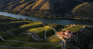 Wines of Portugal Competition: the big winners revealed, “Best of the Year” is a red from the Douro