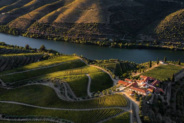 Wines of Portugal Competition: the big winners revealed, “Best of the Year” is a red from the Douro