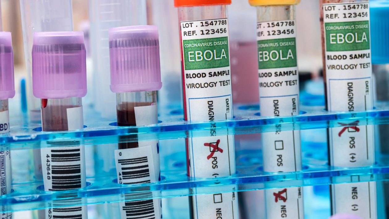 What is known about the Ebola outbreak that led the WHO to declare an international emergency?