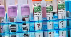What is known about the Ebola outbreak that led the WHO to declare an international emergency?