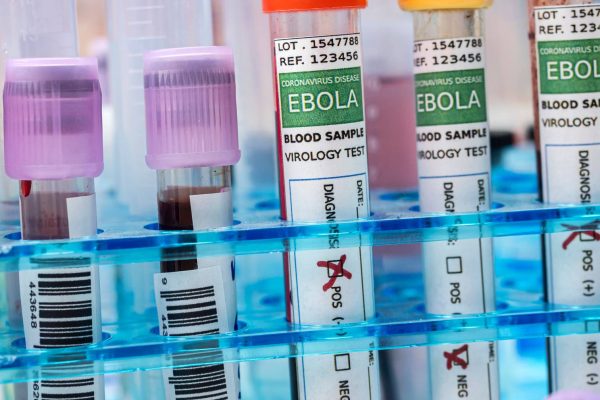 What is known about the Ebola outbreak that led the WHO to declare an international emergency?