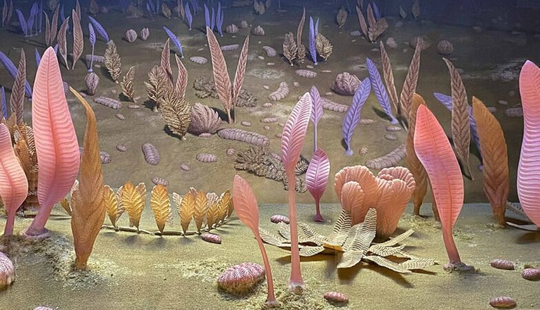 Sex is up to 10 million years older than we thought