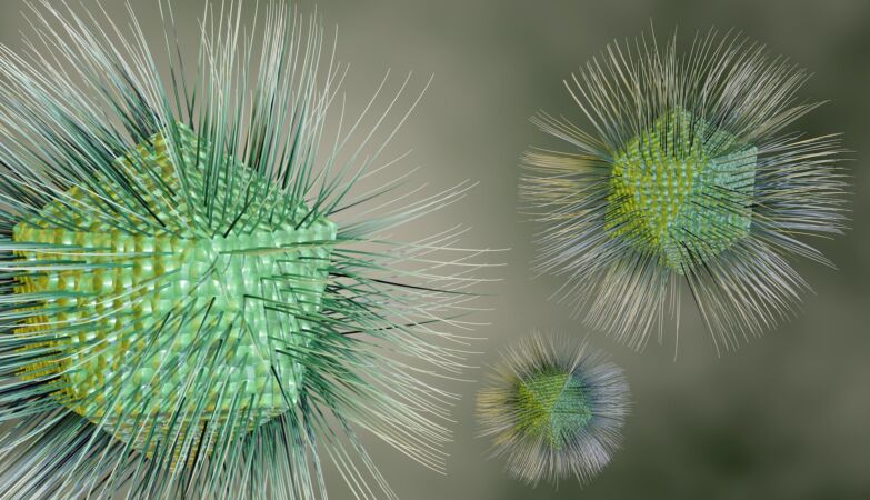 Scientists discover new giant “stealthy” virus that replicates in a completely unique way