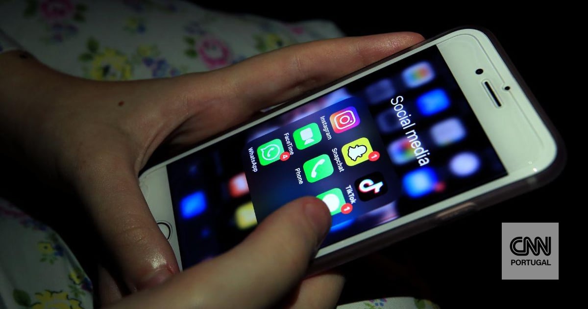 UN warns that banning social media is not enough: platforms remain dangerous for children