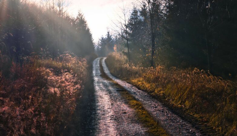 Rustic land without a known owner is now registered in favor of the State