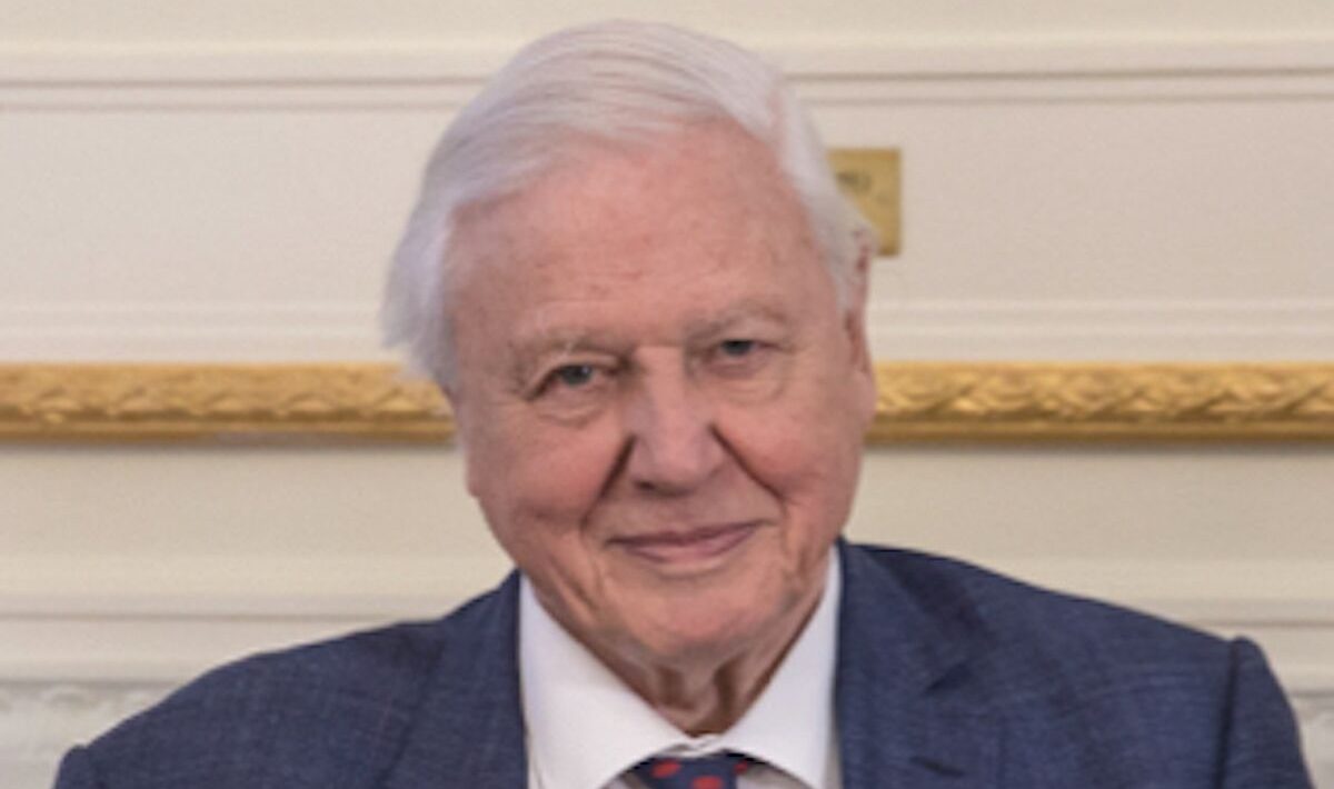 David Attenborough turns 100 and attributes his longevity to a surprising factor