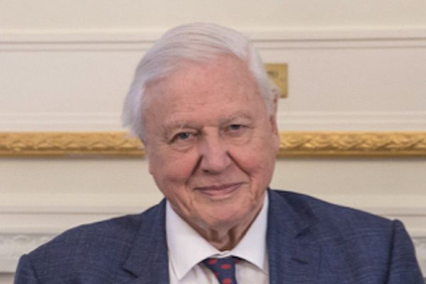David Attenborough turns 100 and attributes his longevity to a surprising factor