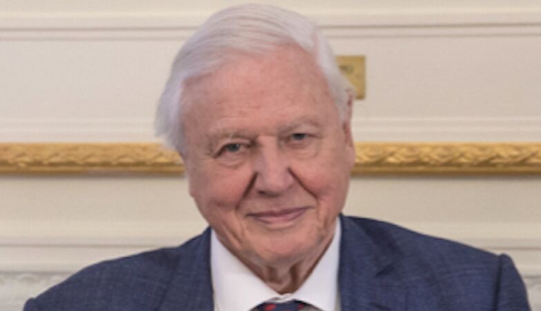 David Attenborough turns 100 and attributes his longevity to a surprising factor