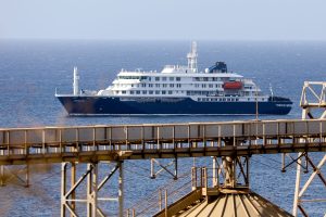 Hantavirus: 40 passengers left the ship during outbreak. But calm down, “it’s not COVID-19”