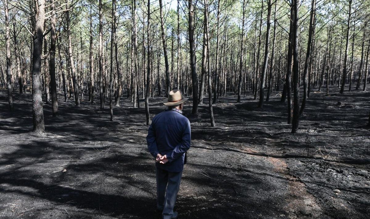 There are still families without homes due to the 2017 fires. They want to sue the State