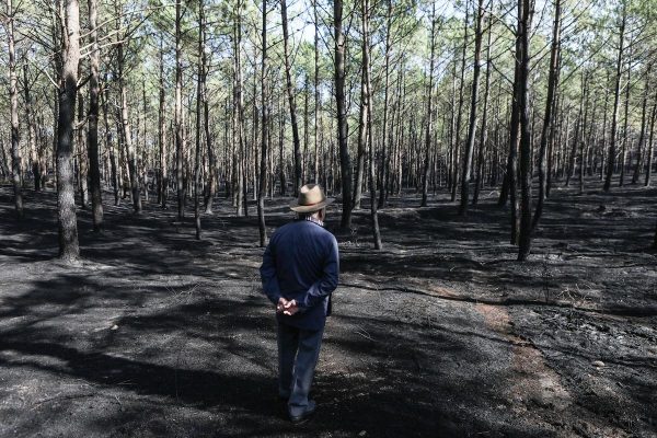 There are still families without homes due to the 2017 fires. They want to sue the State