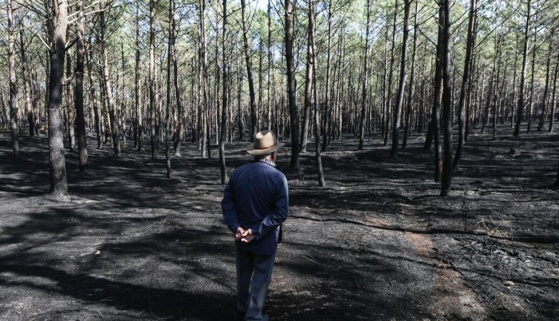 There are still families without homes due to the 2017 fires. They want to sue the State