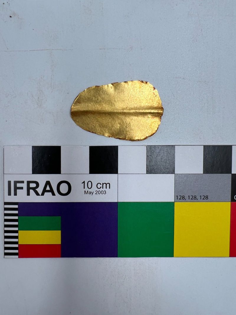 It is the first discovery of its kind: Egyptian mummy unearthed with literary text in the abdomen