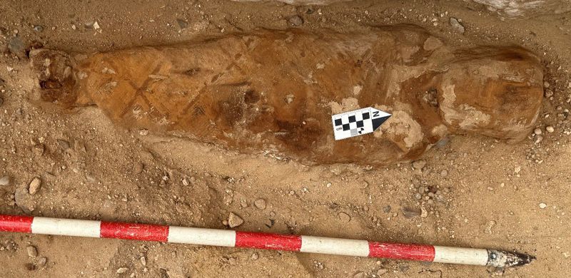It is the first discovery of its kind: Egyptian mummy unearthed with literary text in the abdomen