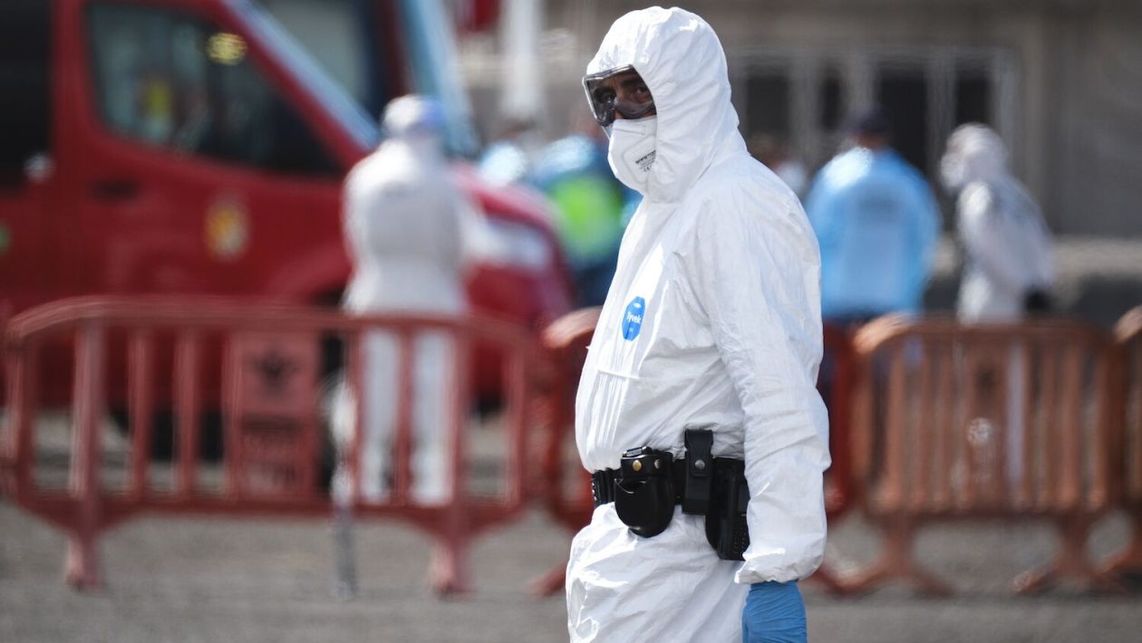 France and USA announce cases of hantavirus