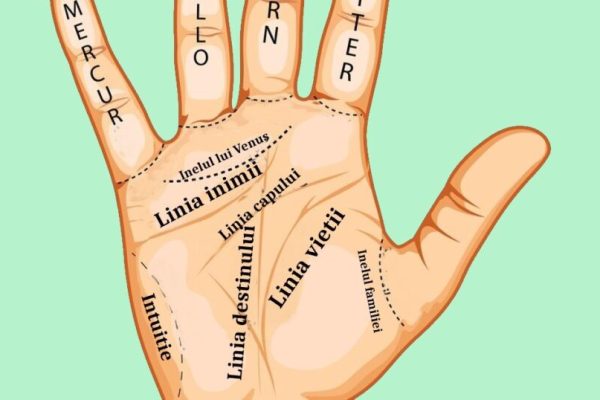 PALMISTRY. Do you have this line in your palm? The sign said to indicate financial success after 30 years