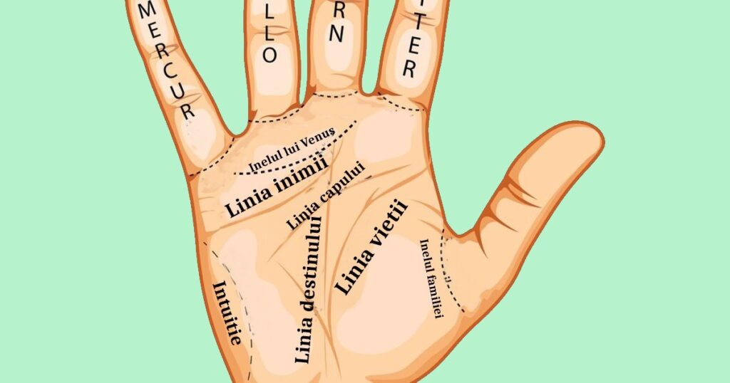 PALMISTRY. Do you have this line in your palm? The sign said to indicate financial success after 30 years
