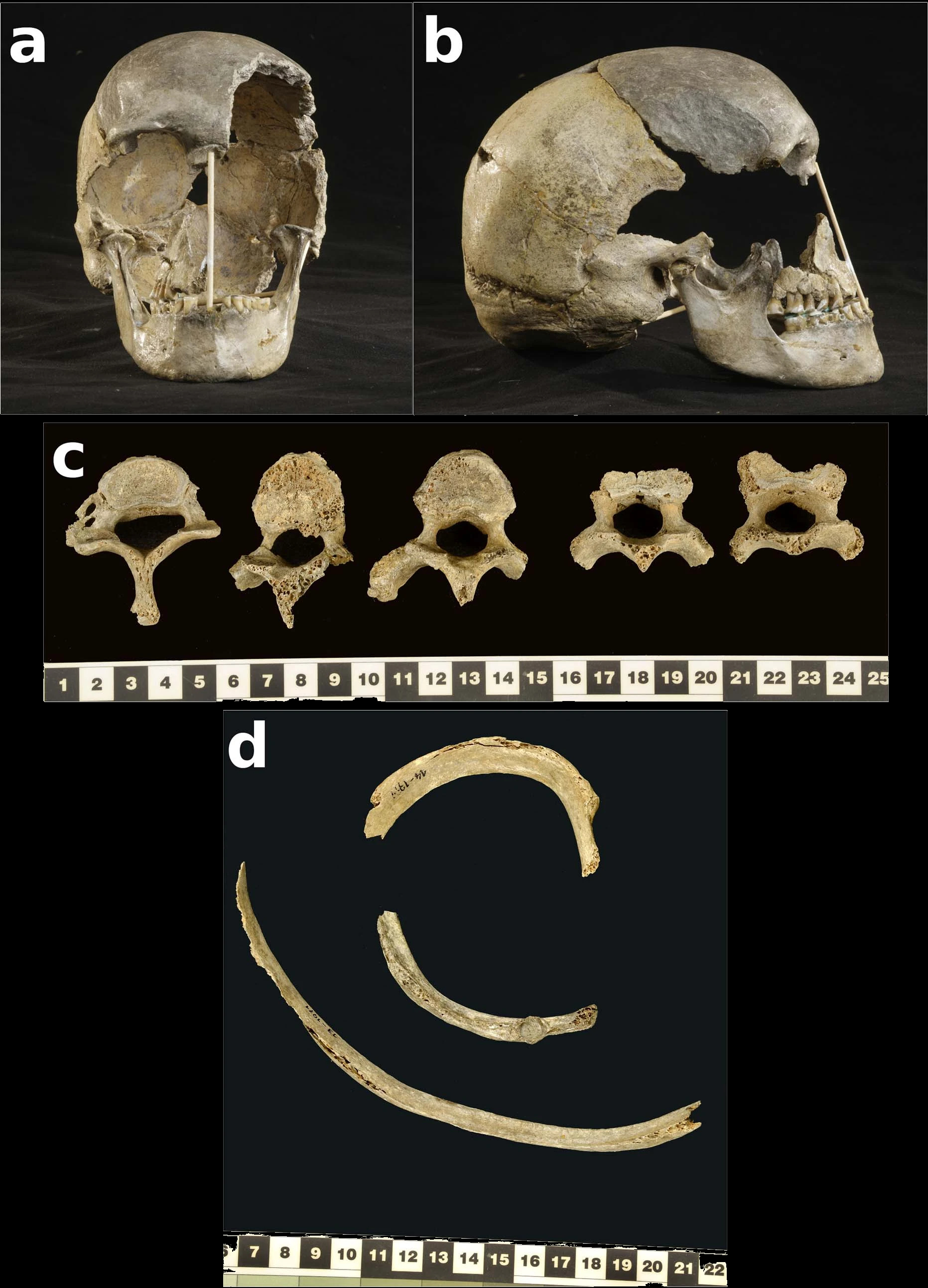 Wide and dark. This is what the first Europeans looked like