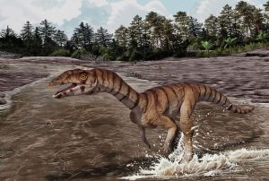 Relative of the toothless crocodile with a beak and that walked on two legs discovered