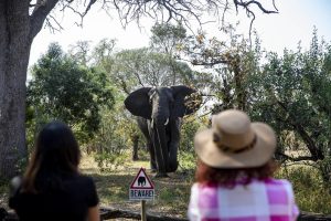 Bodies of two stabbed tourists found in South Africa's Kruger National Park