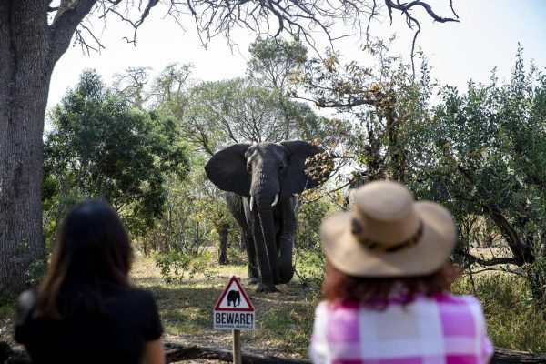 Bodies of two stabbed tourists found in South Africa's Kruger National Park