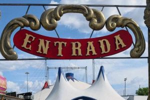 Circus owner Mirene Cardinali stabbed