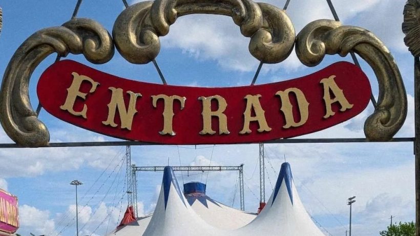 Circus owner Mirene Cardinali stabbed