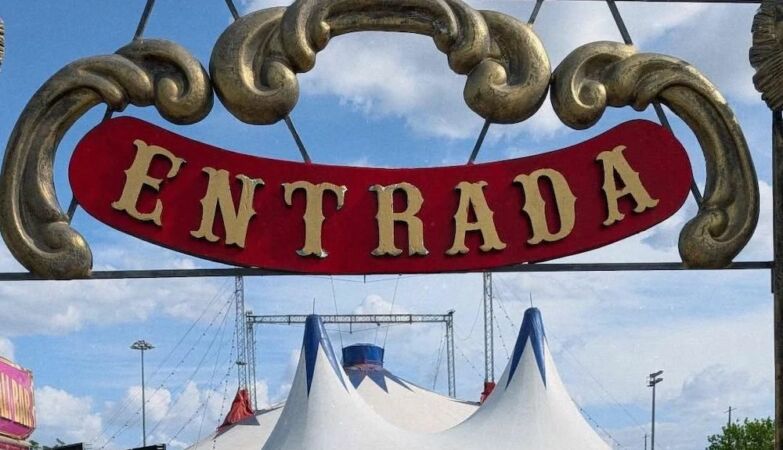 Circus owner Mirene Cardinali stabbed
