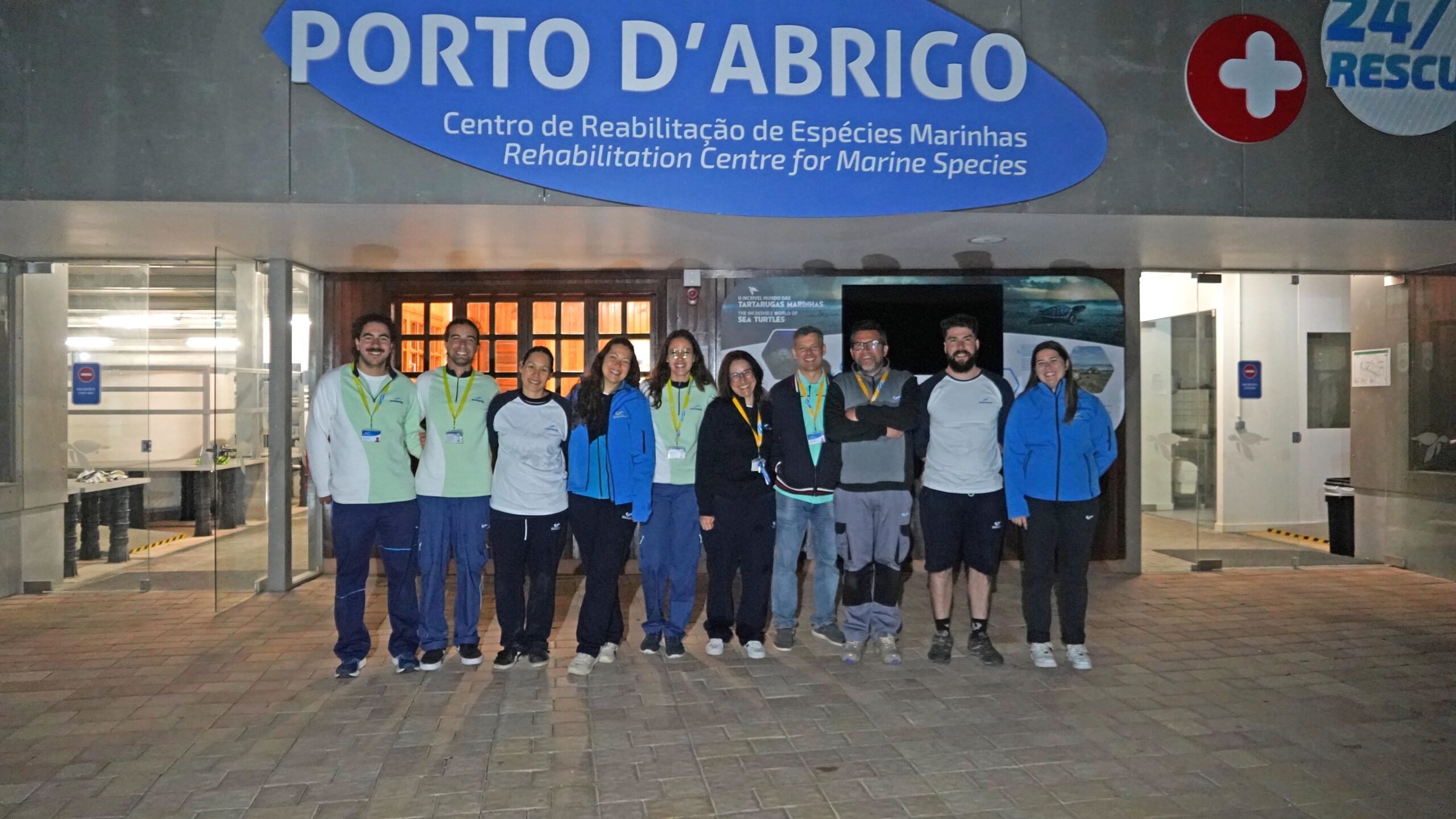 Molly turtle arrives at Zoomarine for recovery process