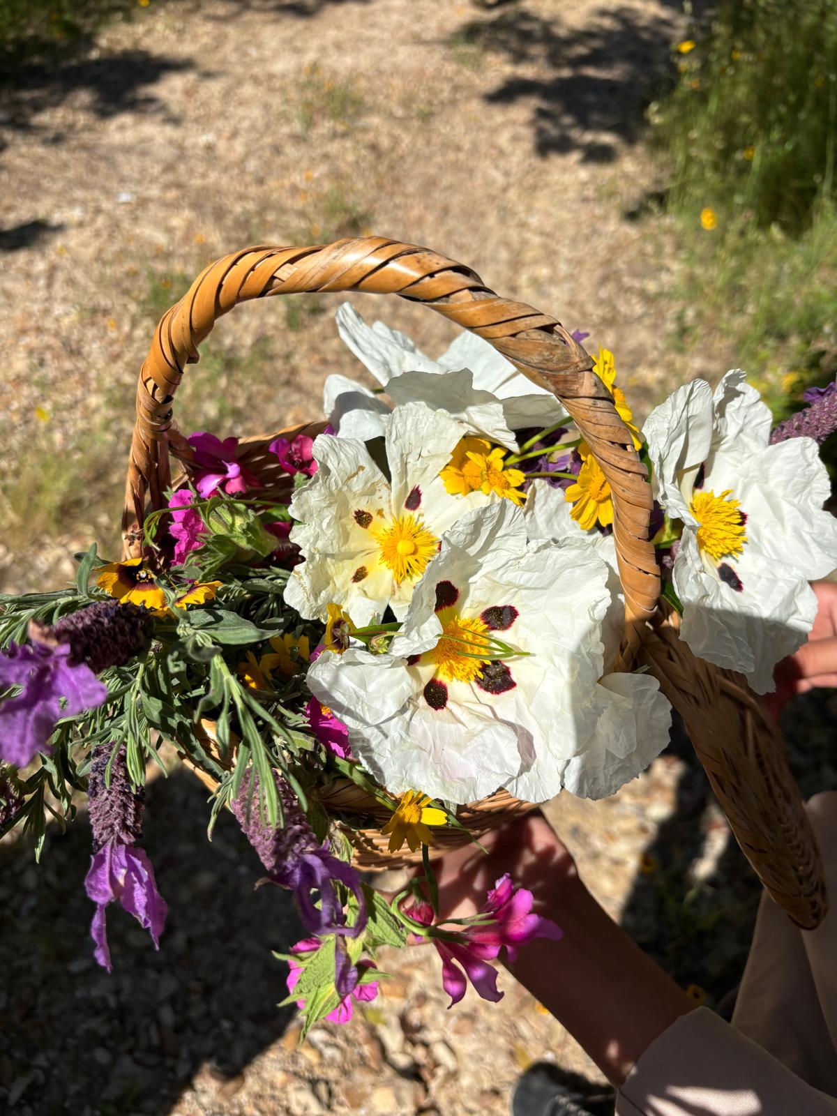 Parises celebrates the Festa dos Tabuleiros Floridos with procession, walks and mountain traditions