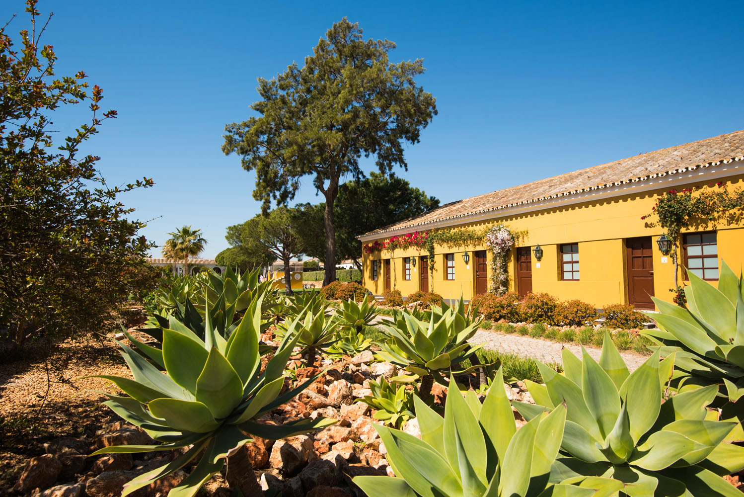 Vila Galé Albacora renovates public and social areas in Tavira