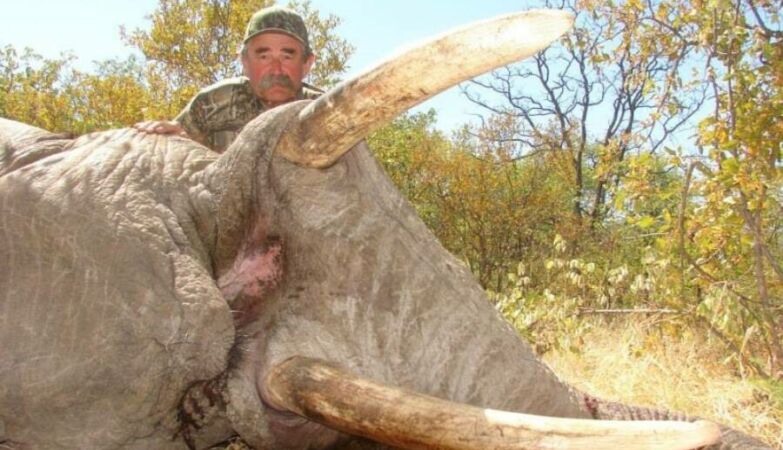 Millionaire hunter dies after being crushed by an elephant