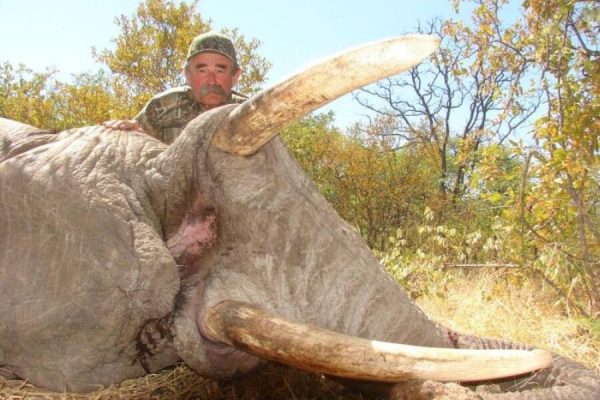 Millionaire hunter dies after being crushed by an elephant