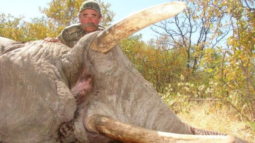 Millionaire hunter dies after being crushed by an elephant