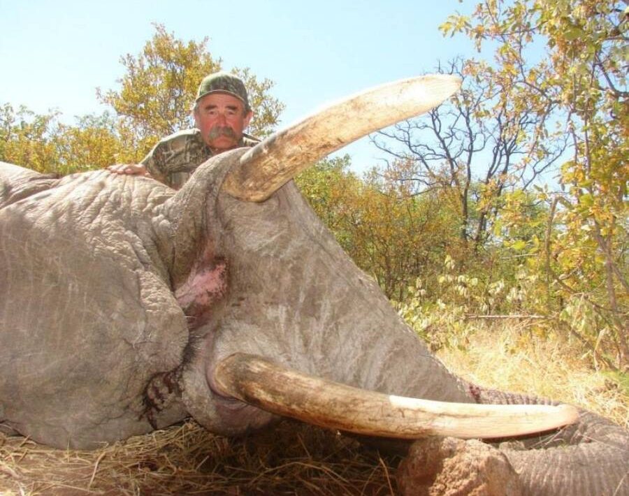 Millionaire hunter dies after being crushed by an elephant