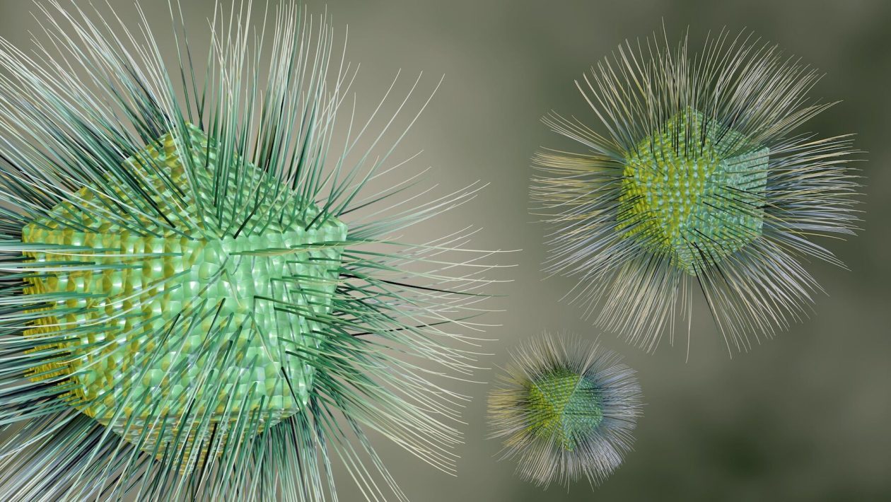 Scientists discover new giant “stealthy” virus that replicates in a completely unique way
